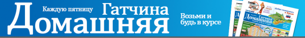 Логотип компании Гатчина Домашняя