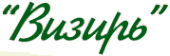 Логотип компании Визирь