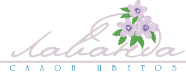 Логотип компании Лаванда